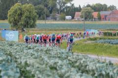 RhodePhoto_RENEWI2025_stage2_LoRes-189
