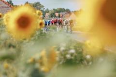 RhodePhoto_RENEWI2025_stage2_LoRes-202