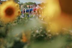 RhodePhoto_RENEWI2025_stage2_LoRes-203
