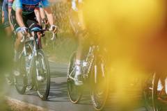 RhodePhoto_RENEWI2025_stage2_LoRes-205