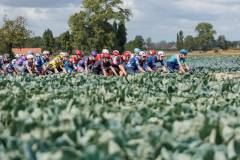 RhodePhoto_RENEWI2025_stage2_LoRes-211