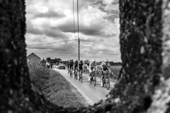 RhodePhoto_RENEWI2025_stage2_LoRes-214