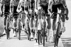 RhodePhoto_RENEWI2025_stage2_LoRes-217